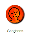 Senghaas